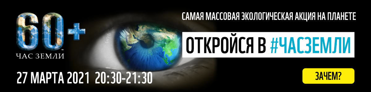 Дайджест новостей ЦМТ Москвы