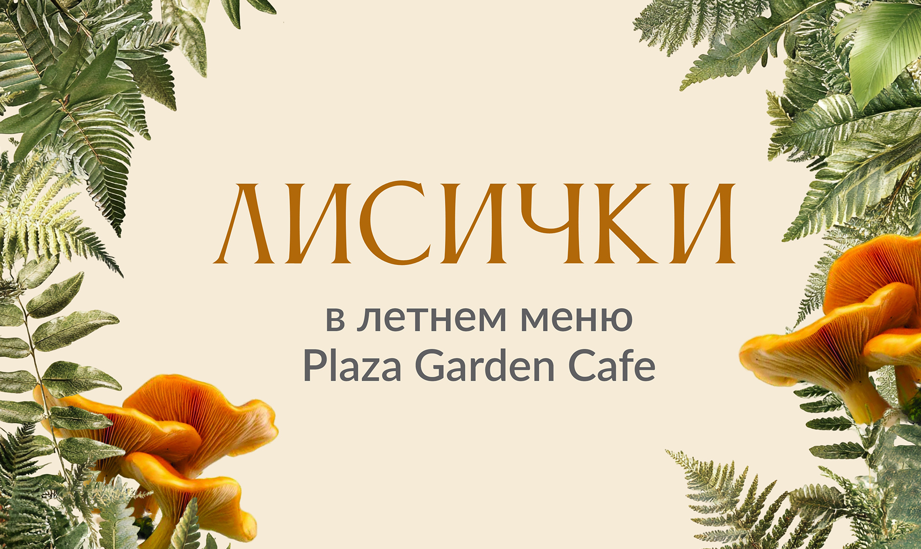 Лисички в Plaza Garden Café
